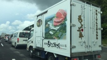 もとぶ牧場