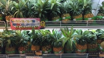 ゴールドバレル