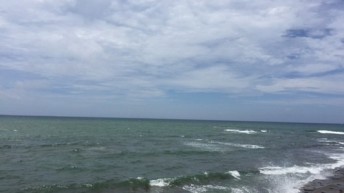 宮城海岸