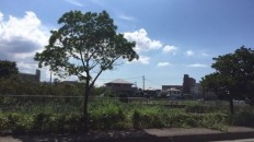 いい天気