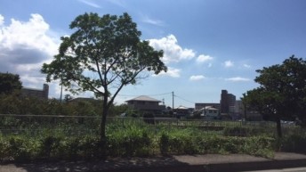 いい天気