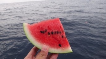 スイカ