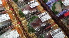 トビウオ