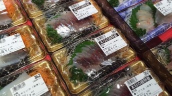 トビウオ