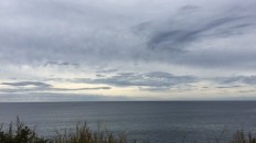 海