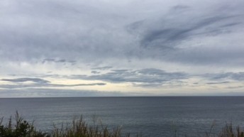 海