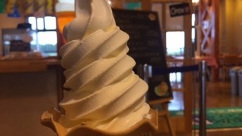 ソフト
