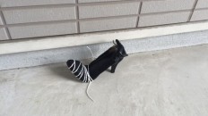なんだこれ？