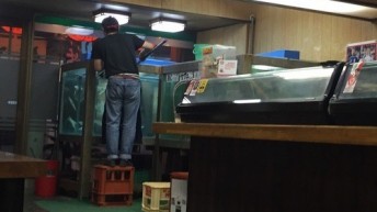 生簀から…