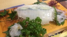 イカのお造り