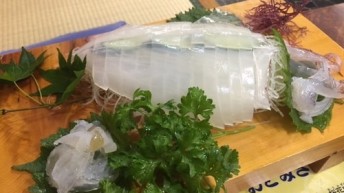 イカのお造り