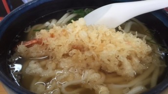 エビ天うどん
