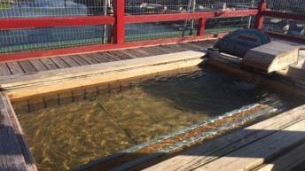 温泉