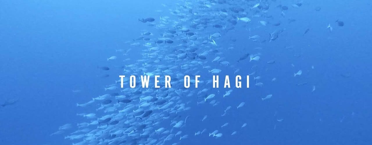 tower of Hagi