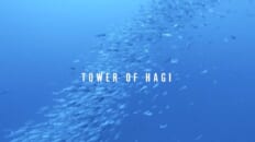 tower of Hagi