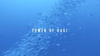 tower of Hagi