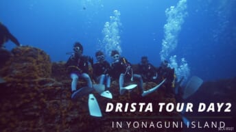 DRISTA ダウンカレント