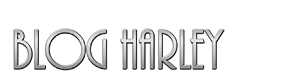 BLOG HARLEY