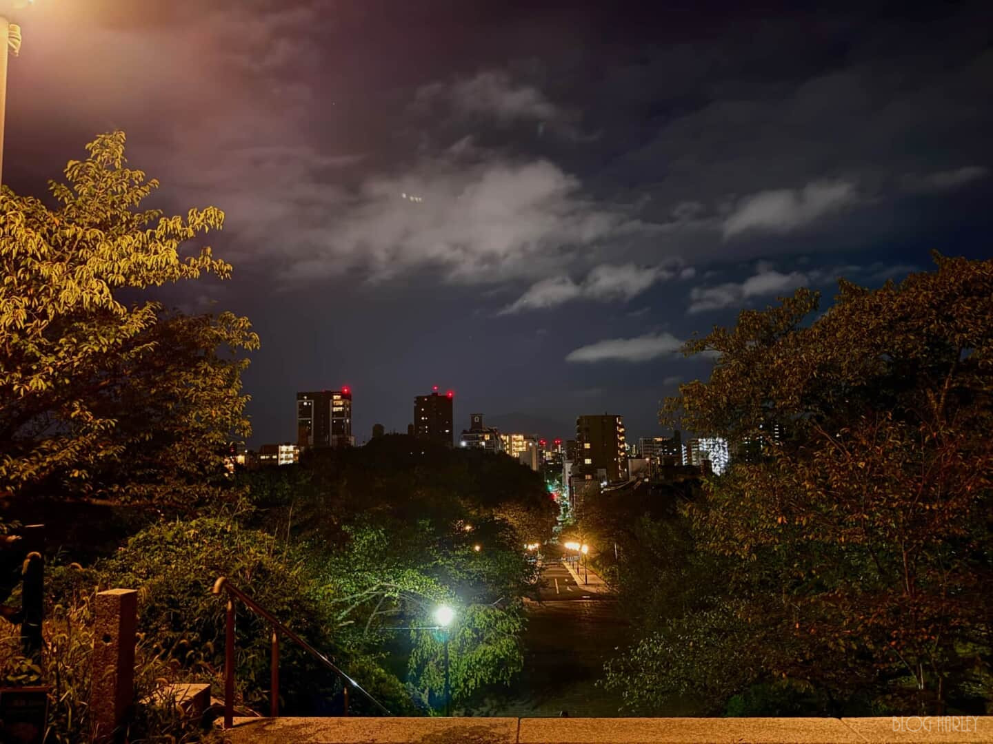 IMG_4522.jpg 光雲神社
