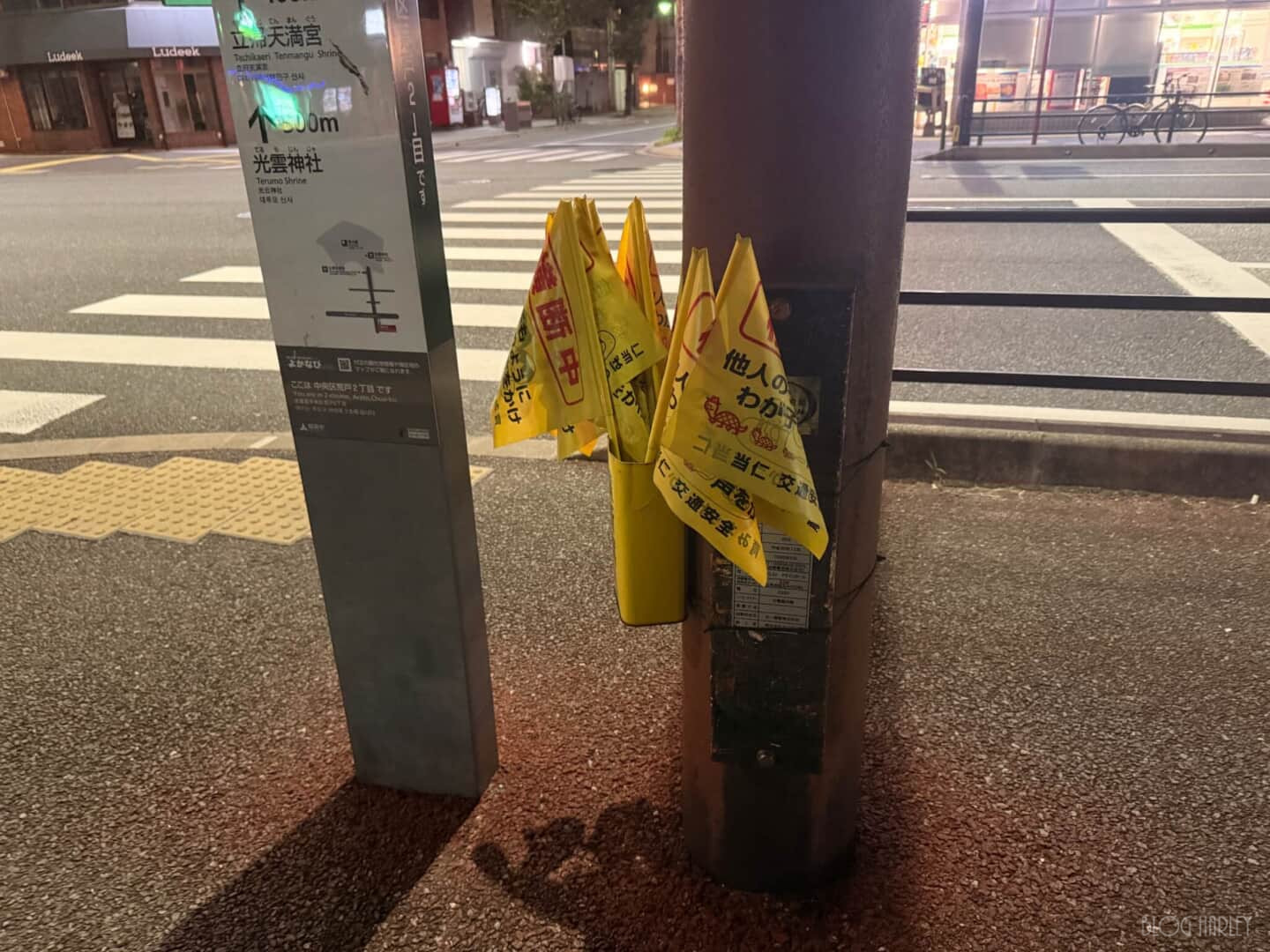 ナイトウォーク