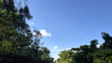 公園