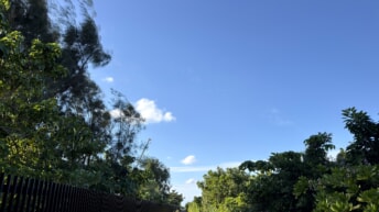 公園