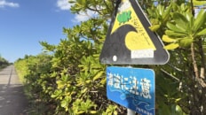 津波に注意