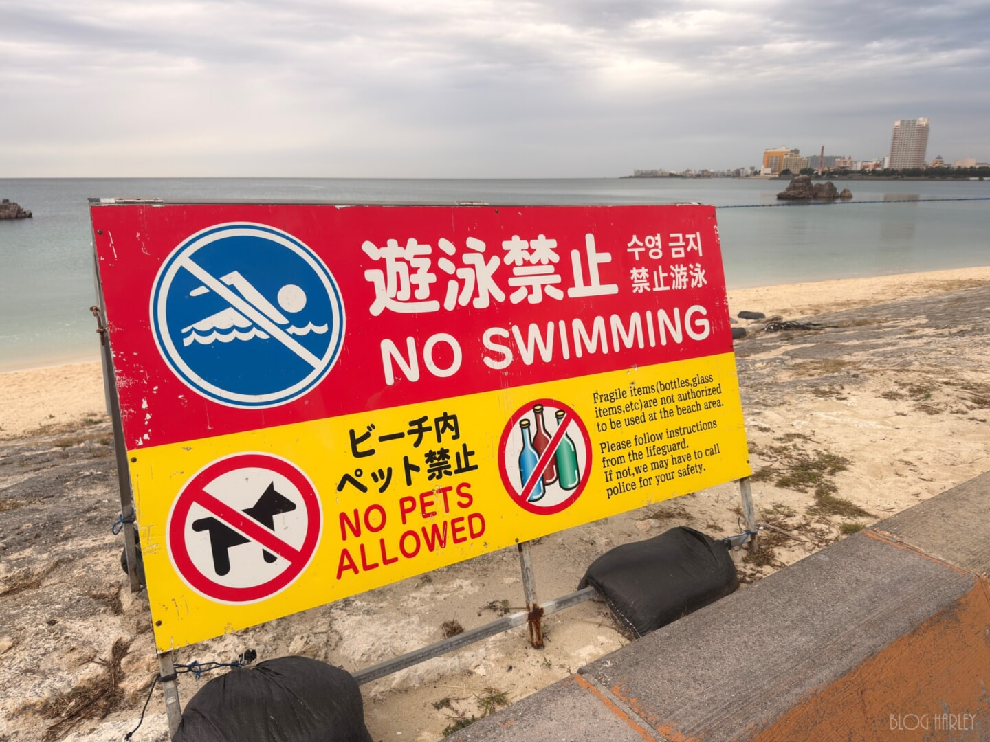 IMG_5315.JPG ビーチクローズ