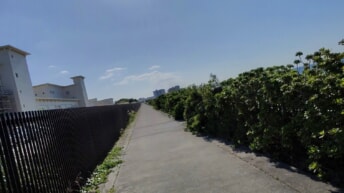 photo-20730_singular_display_fullPicture.jpeg