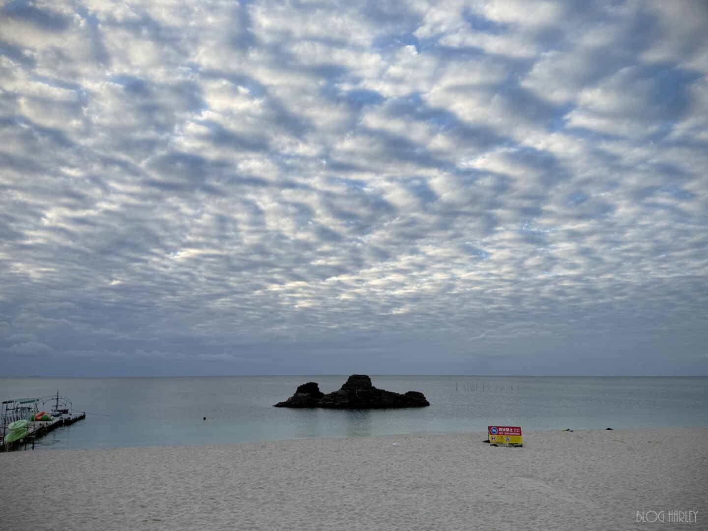 IMG_6193.jpeg 雲雲