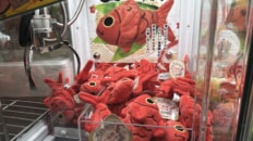 きんめ