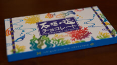 石垣の塩