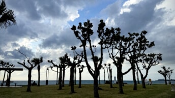 アラハ公園