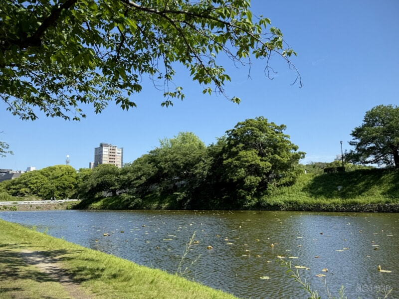福岡城址