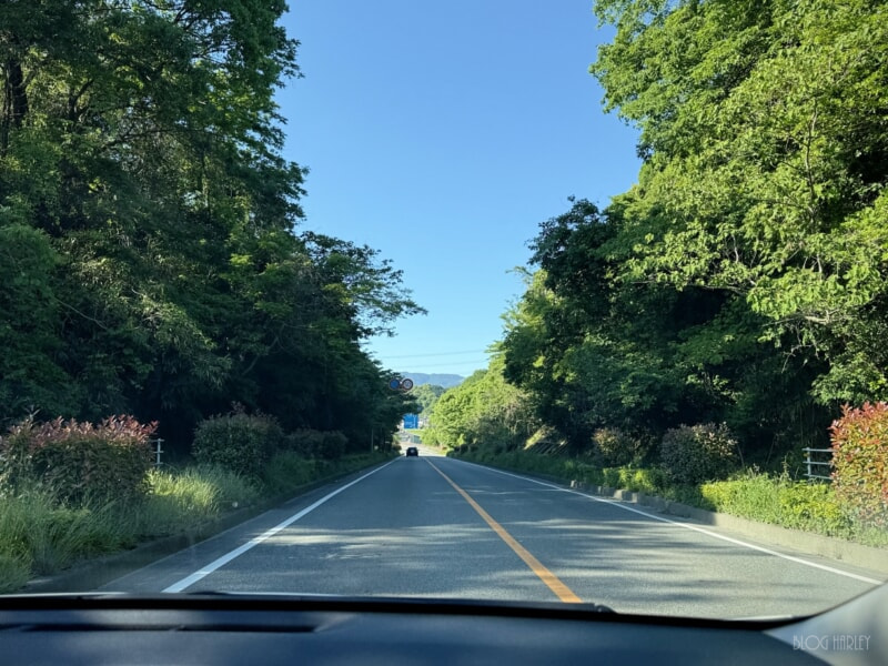 太宰府みちのり