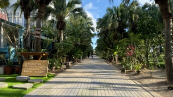 アラハ公園