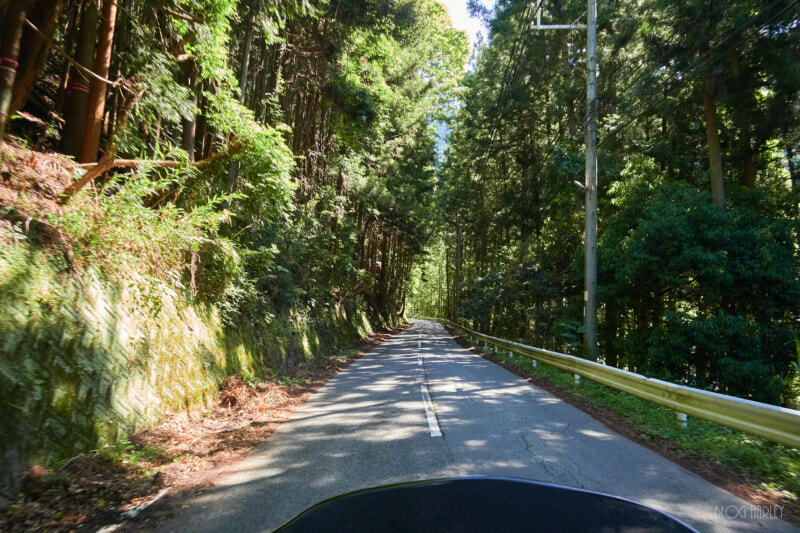山中