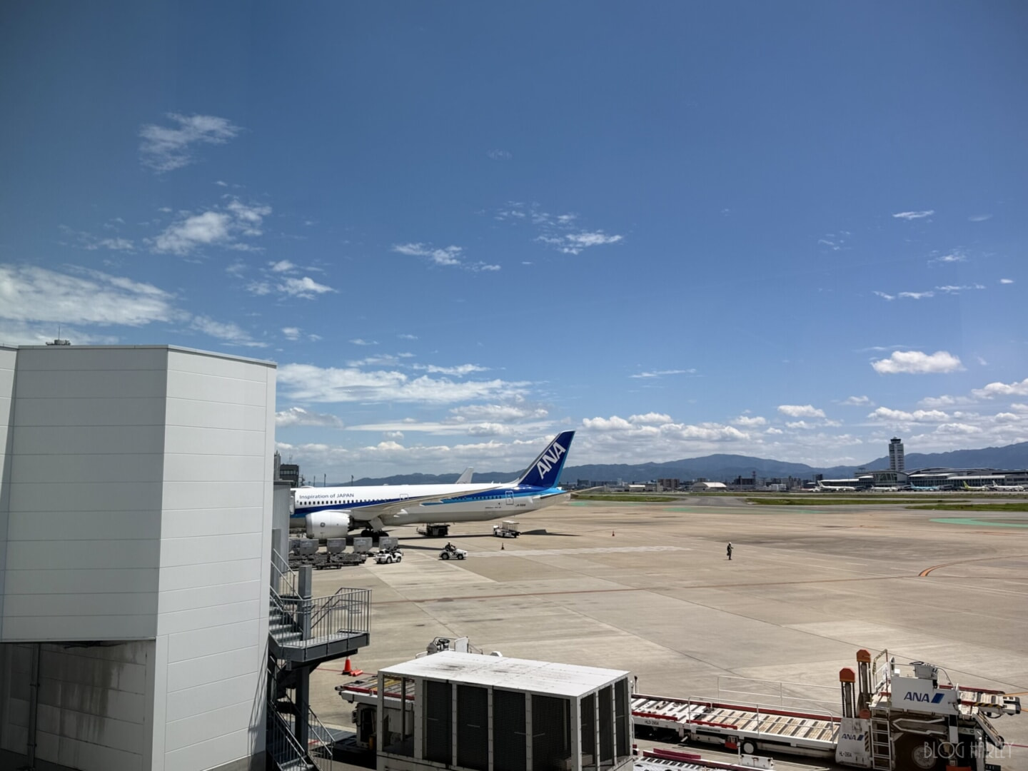 IMG_7995.jpeg 来沖