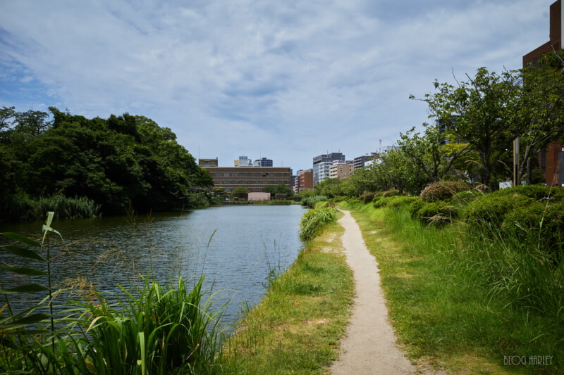 舞鶴公園