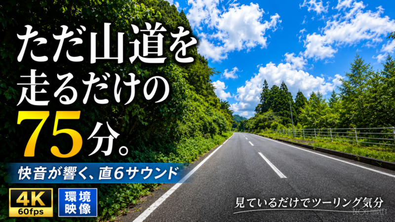 ただ山道を走るだけの75分
