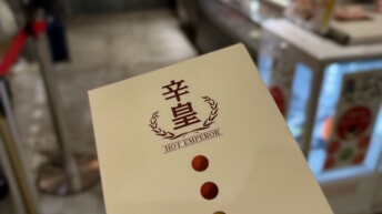 辛皇