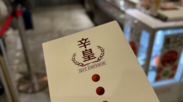辛皇
