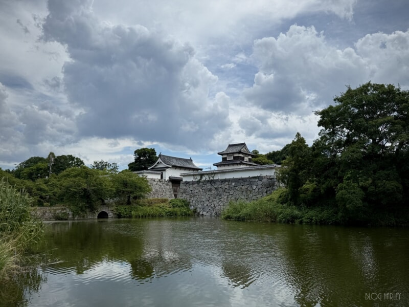 舞鶴公園