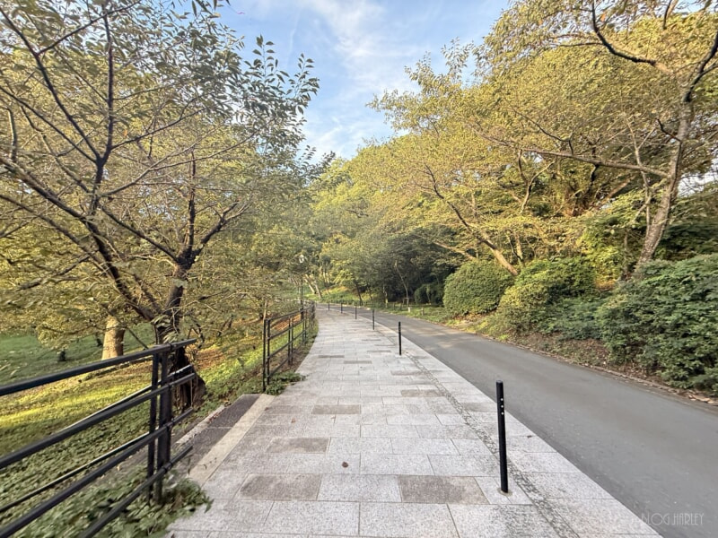 福岡 西公園