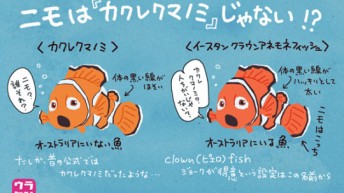カクレクマノミはニモじゃない